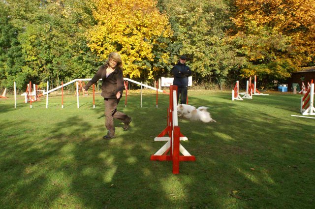 agility 2011-10-30
